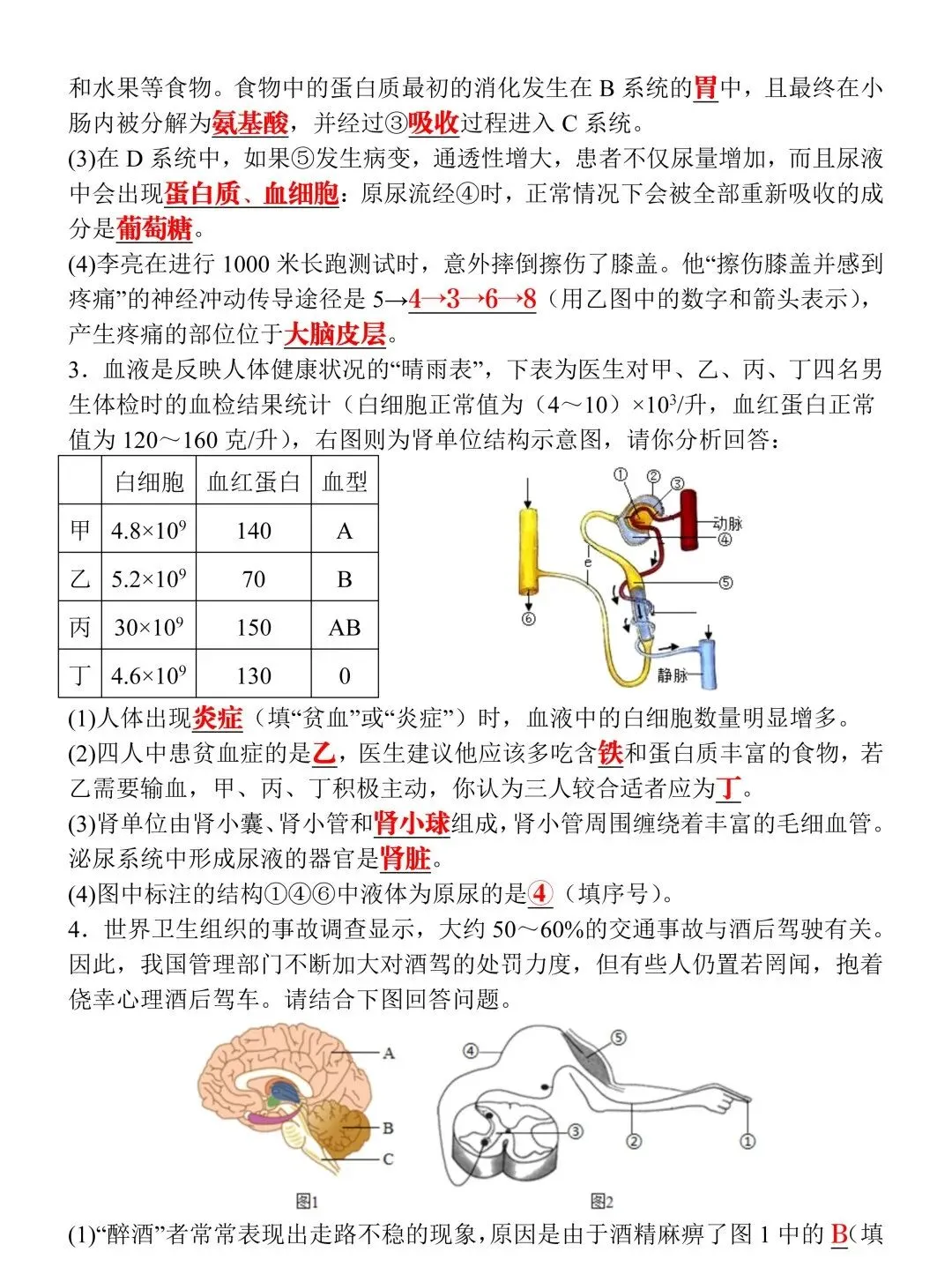 2026八年级生物会考真题演练20道(含答案),命中率高,可收藏提前练习! 第5张