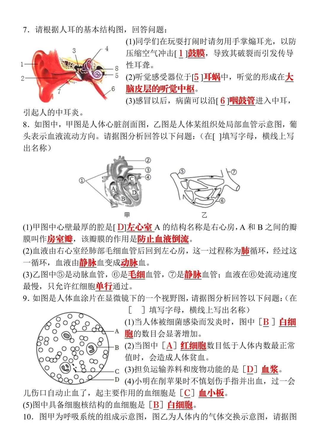 2026八年级生物会考真题演练20道(含答案),命中率高,可收藏提前练习! 第7张