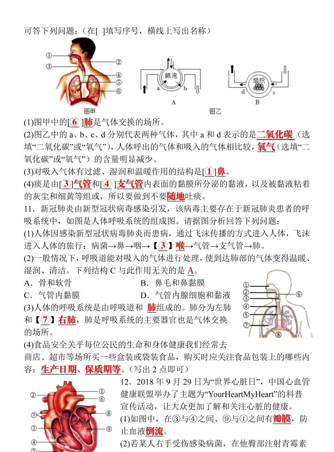 2026八年级生物会考真题演练20道(含答案),命中率高,可收藏提前练习! 第8张