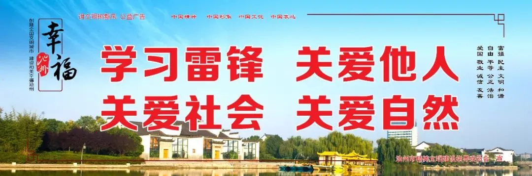 研思赋能备中考 笃行致远共成长 第12张