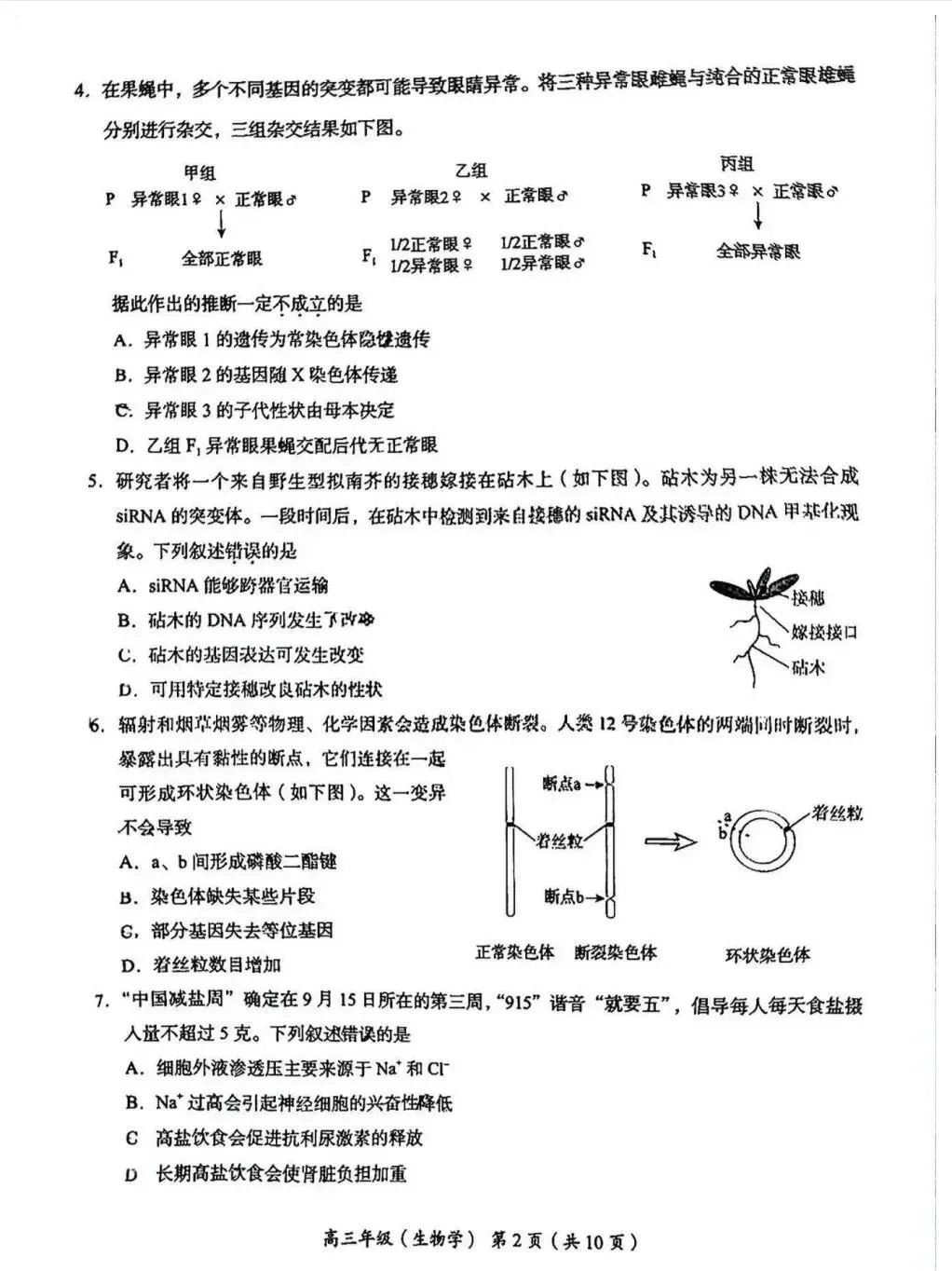 试卷速递|2026年北京市海淀区高三年级一模生物试卷(暂无答案)-第2张图片-四季读书网