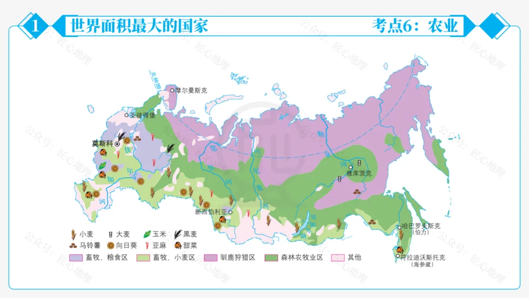 新教材 | 中考一轮复习·俄罗斯(课件+导学单+练习题)-第41张图片-四季读书网
