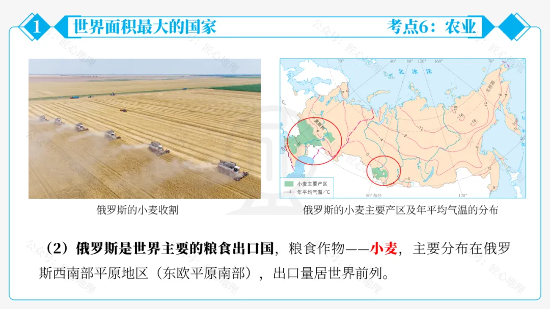 新教材 | 中考一轮复习·俄罗斯(课件+导学单+练习题)-第43张图片-四季读书网