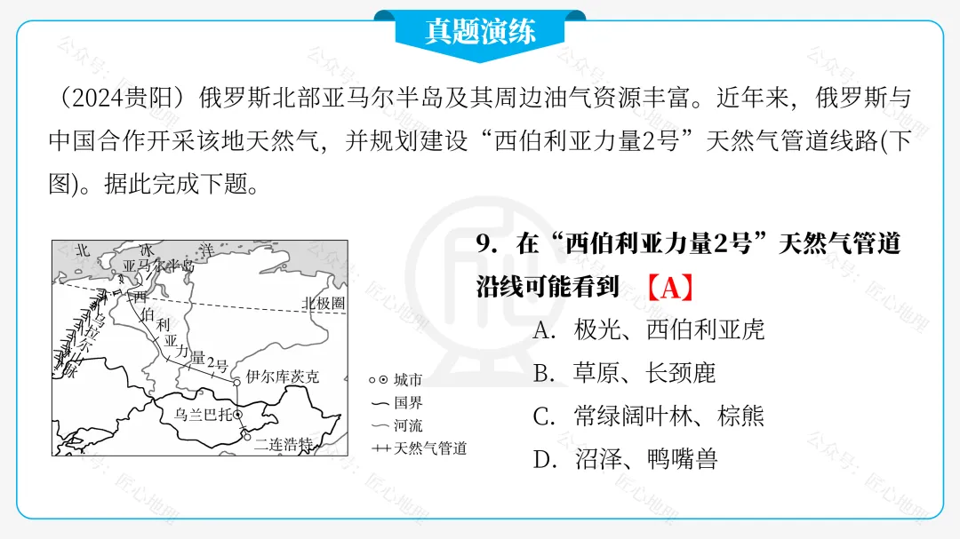 新教材 | 中考一轮复习·俄罗斯(课件+导学单+练习题)-第59张图片-四季读书网