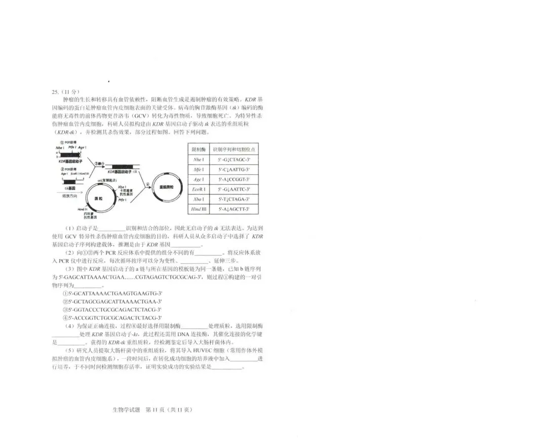 2026长春二模生物试卷 第6张