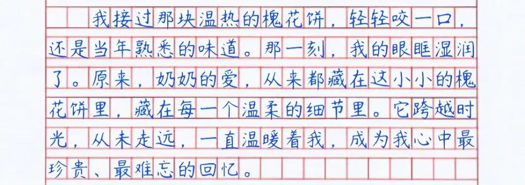 【中考满分作文拆解】手抄版《奶奶的槐花饼》 第8张