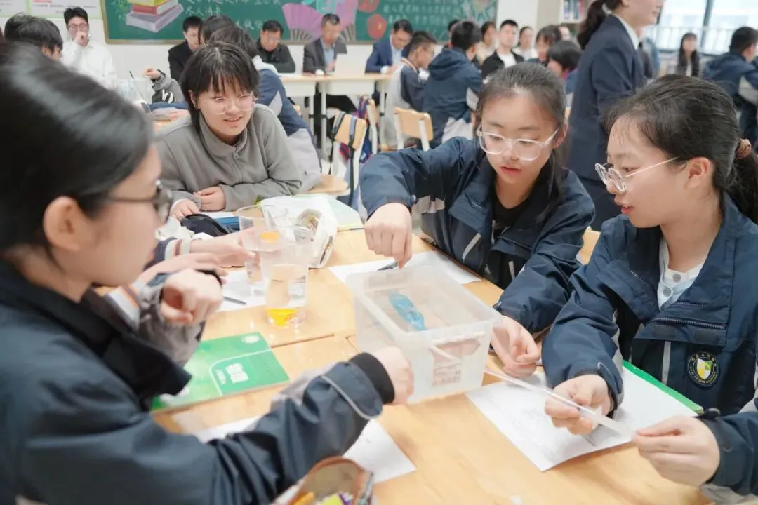 聚焦中考复习策略 共话高效课堂构建 | 金桥教育集团初三复习研讨活动在江阴青阳金桥实验学校成功举办 第23张