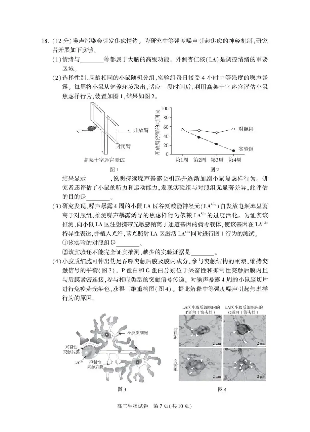2026届北京朝阳高三一模生物试卷及答案 第7张
