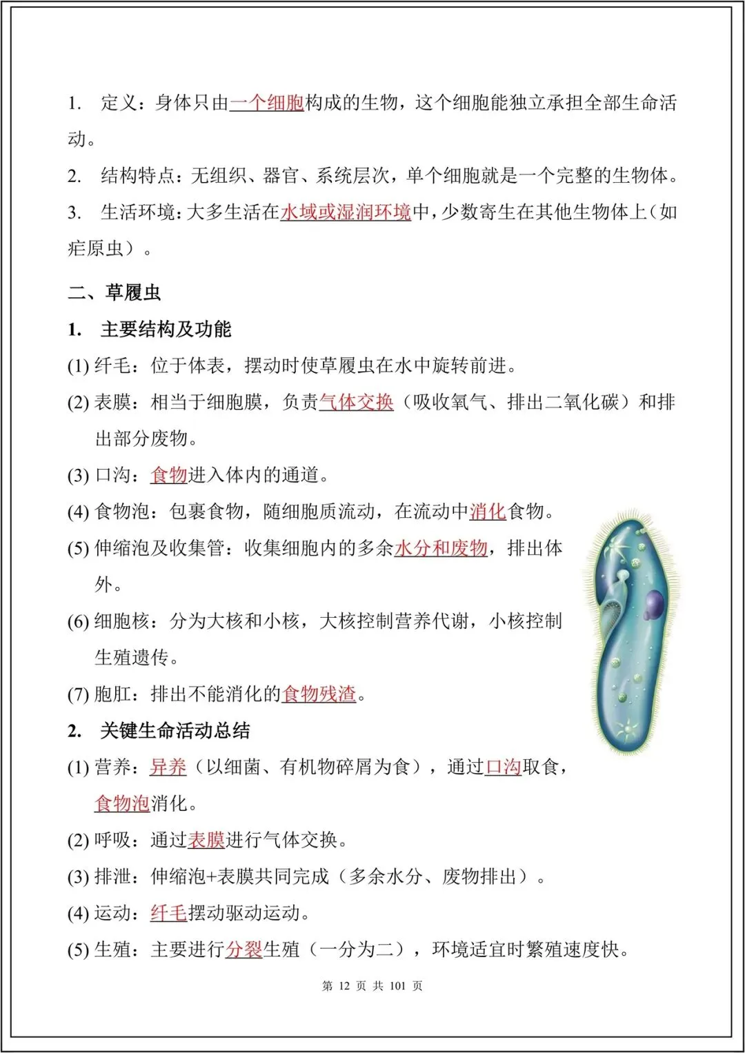 中考复习丨2026中考生物必背考点汇总(108大考点)(全国通用) 电子版可下载打印 第13张