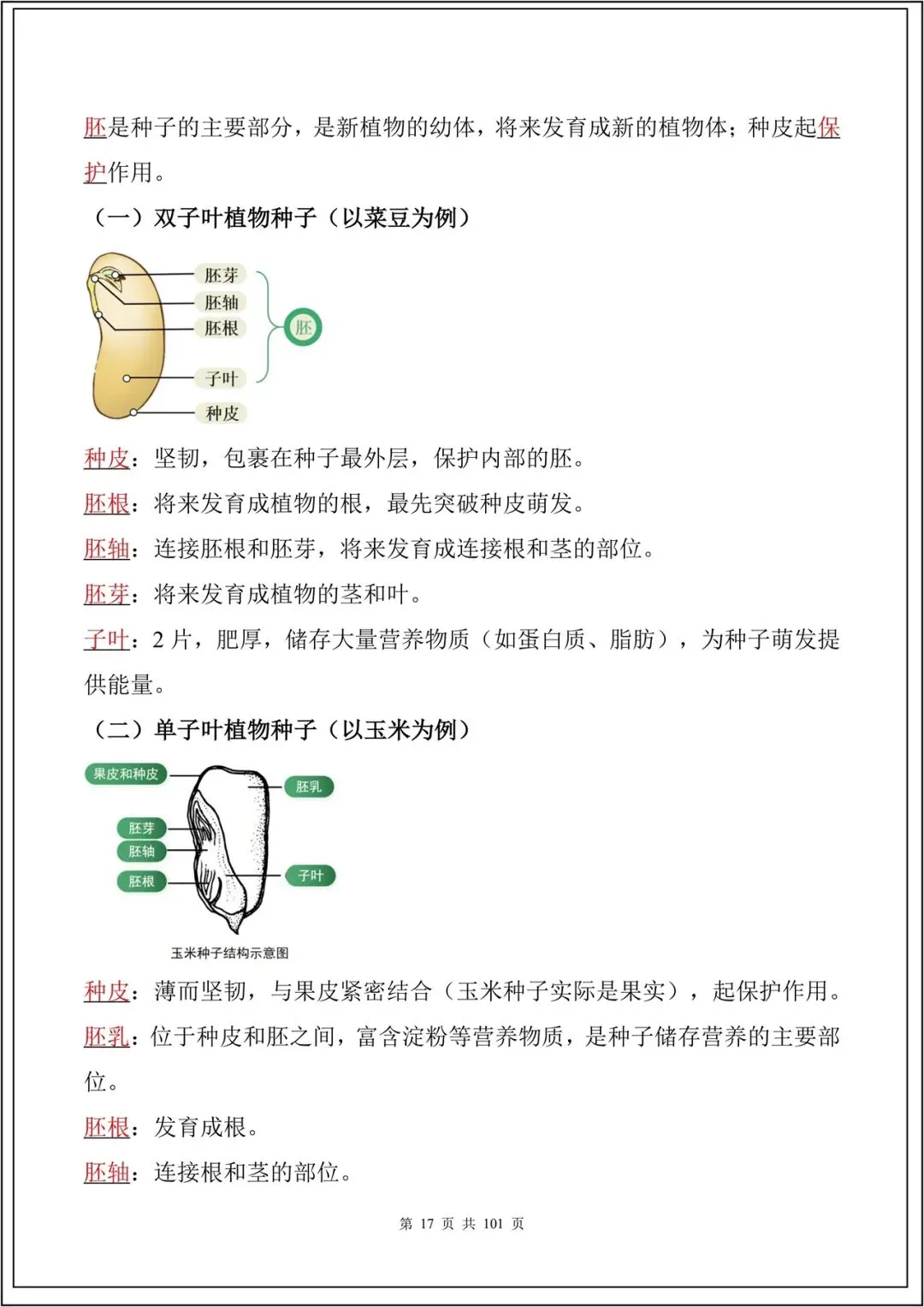 中考复习丨2026中考生物必背考点汇总(108大考点)(全国通用) 电子版可下载打印 第18张