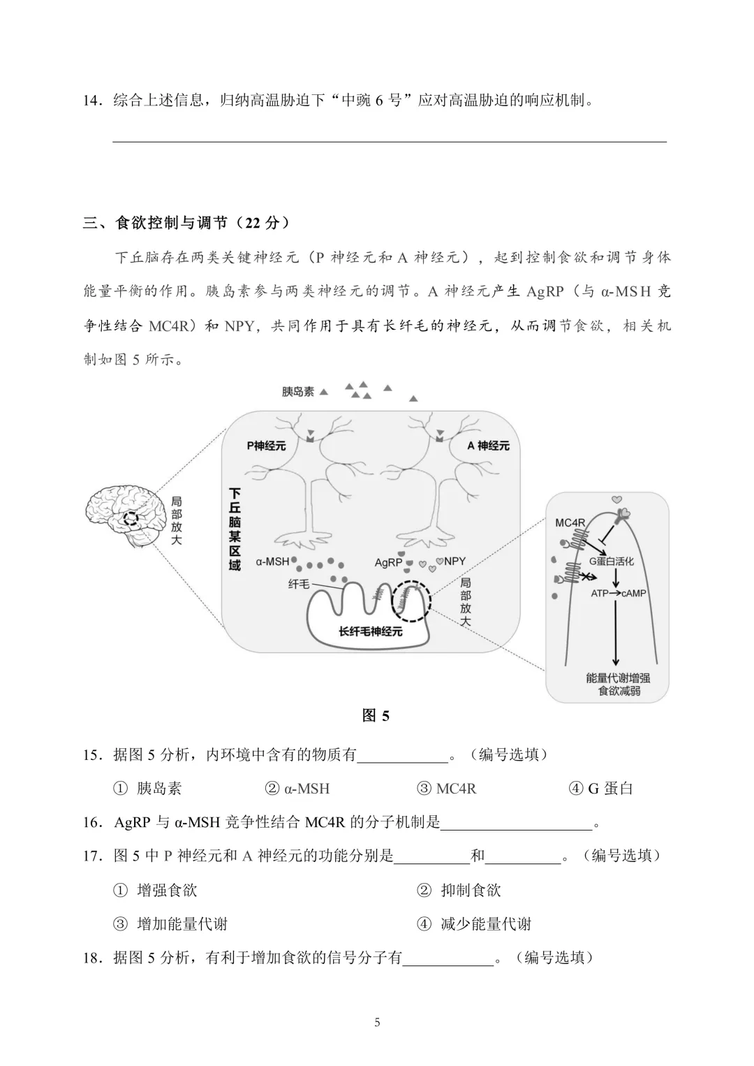 上海市2026届浦东新区高三二模生物试卷及答案 第5张