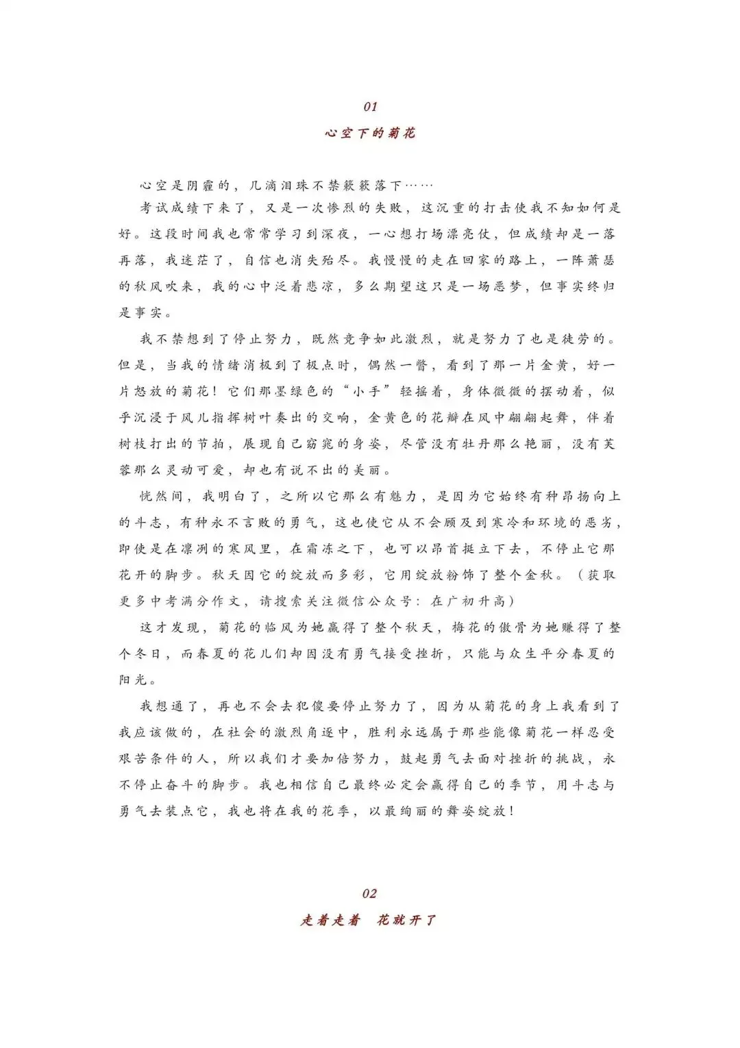初中语文 | 中考语文押题作文:【托物言志类】作文(范文3篇,可打印) 第2张 初中语文 | 中考语文押题作文:【托物言志类】作文(范文3篇,可打印) 第2张