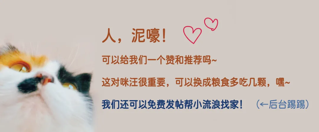 catti小段真题解析 | 荷兰,法语,比利时,拿破仑 P55 第1张 catti小段真题解析 | 荷兰,法语,比利时,拿破仑 P55 第1张