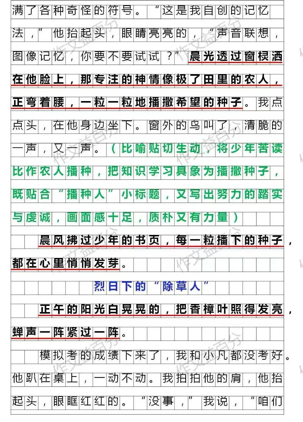 【中考作文备考2026】绿意绵绵,清风不绝|青春梦想类(精析+点评+脉络) 第2张