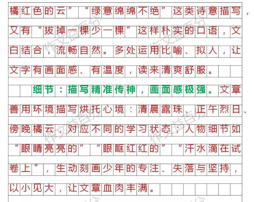 【中考作文备考2026】绿意绵绵,清风不绝|青春梦想类(精析+点评+脉络) 第5张