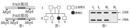 【真题分享】2024年上半年哈尔滨市道里区教师招聘真题 第5张 【真题分享】2024年上半年哈尔滨市道里区教师招聘真题 第5张