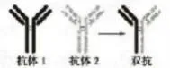 【真题分享】2024年上半年哈尔滨市道里区教师招聘真题 第7张 【真题分享】2024年上半年哈尔滨市道里区教师招聘真题 第7张