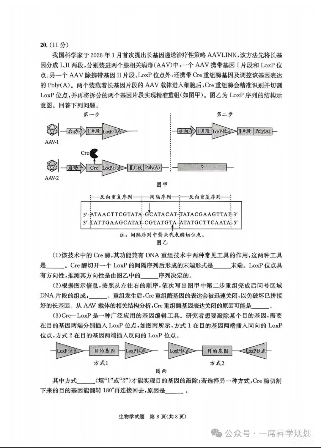 2026成都高三∶二诊《生物》试卷及参考答案 第8张