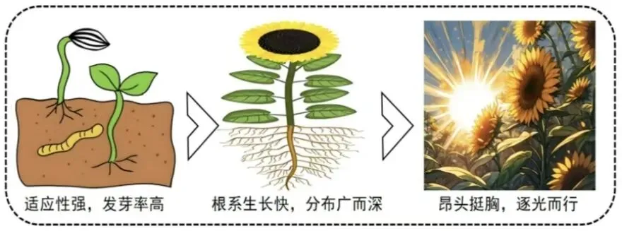 2026年中考道德与法治模拟试题(二十)及参考答案(满分:70分  时间:60分钟) 第4张