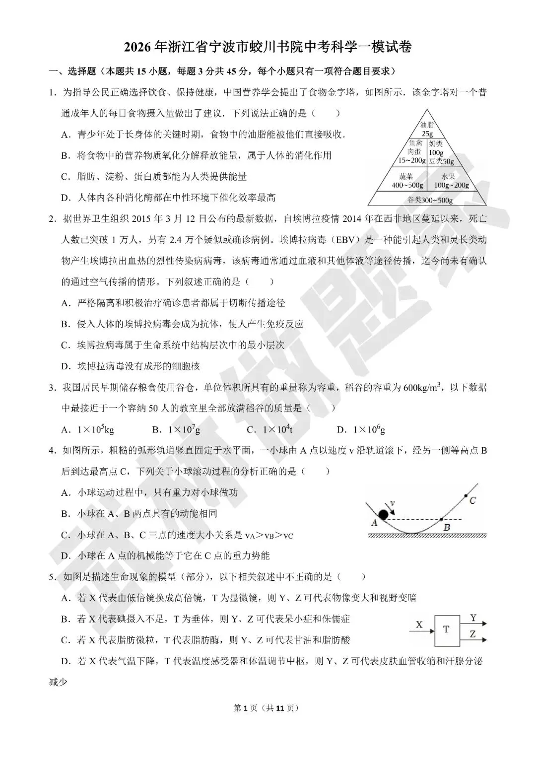 【初中科学·优秀试卷】2026年浙江省宁波市蛟川书院中考科学一模·有答案·word版可编辑-第1张图片-四季读书网