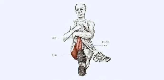 体育中考训练后必做的7个拉伸动作,缓解酸痛还能提升训练效果! 第11张