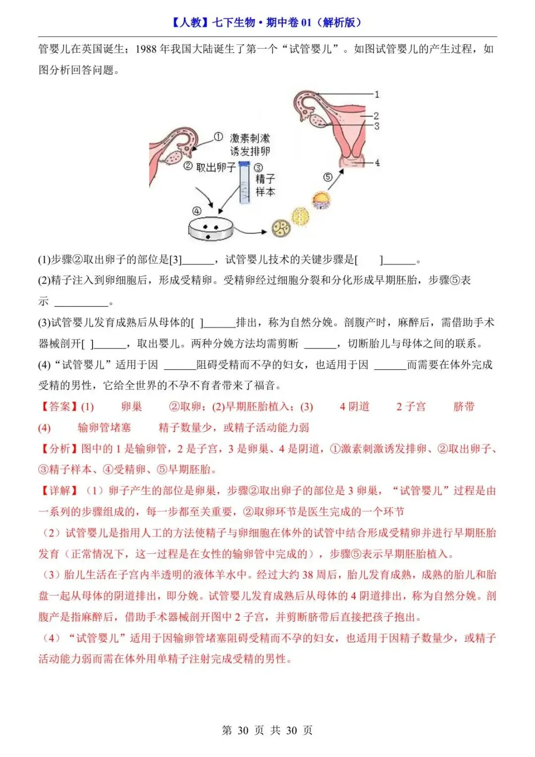 26春人教版七年级下册(生物)期中考试真题测试卷+答案解析.高清电子版可打印下载!-第32张图片-四季读书网