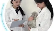 中考300分还有出路吗?这所学校毕业生被华为、周大福抢着要 第38张 中考300分还有出路吗?这所学校毕业生被华为、周大福抢着要 第38张