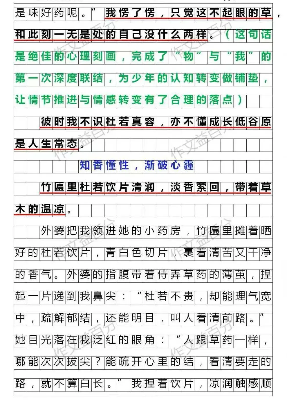 【中考作文备考2026】杜若清芬里,少年初长成 |(精析+点评+脉络)| |传统文化+成长类 | 小众新颖的题材 第2张