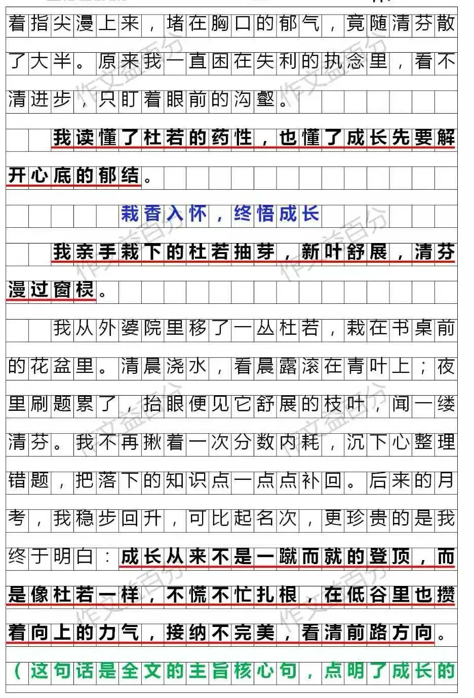 【中考作文备考2026】杜若清芬里,少年初长成 |(精析+点评+脉络)| |传统文化+成长类 | 小众新颖的题材 第3张