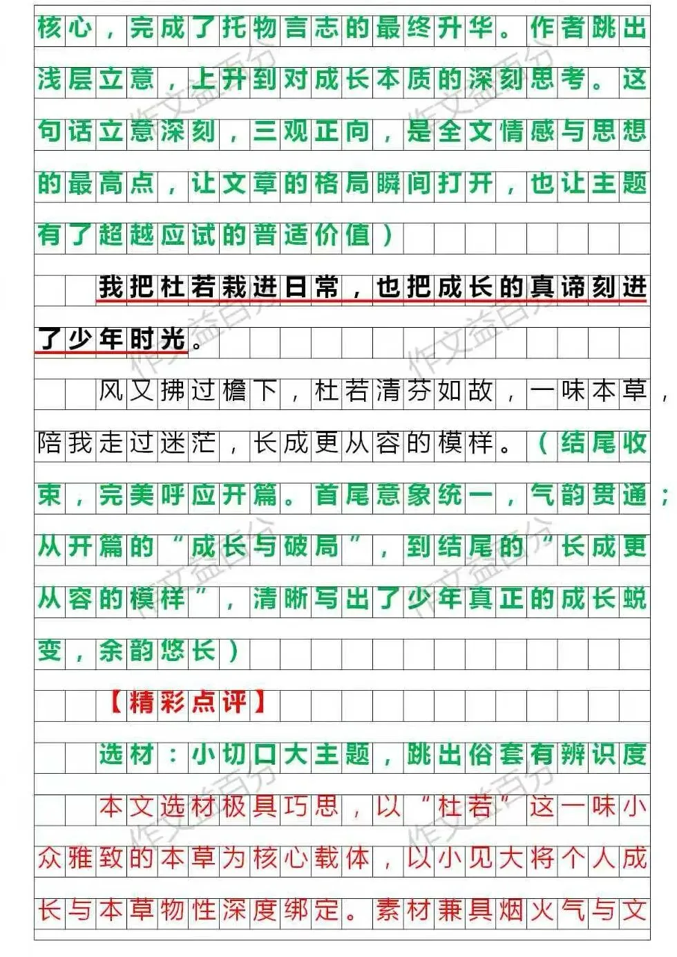 【中考作文备考2026】杜若清芬里,少年初长成 |(精析+点评+脉络)| |传统文化+成长类 | 小众新颖的题材 第4张