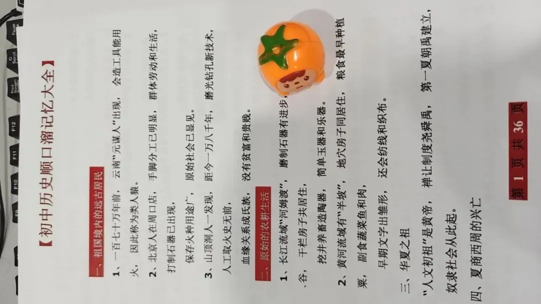 初中历史顺口溜:7天背完3年考点,中考全校第一,背完稳上90+ 第1张
