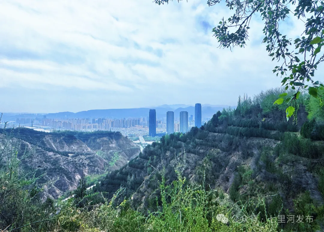 【一览无余最新闻】2026年兰州市中考招生方案公布 ‖ 兰州市徐家山国家森林公园正式恢复开园 第2张