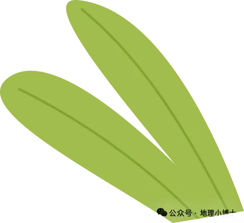 《初三地理试卷册2》相关答案 第5张