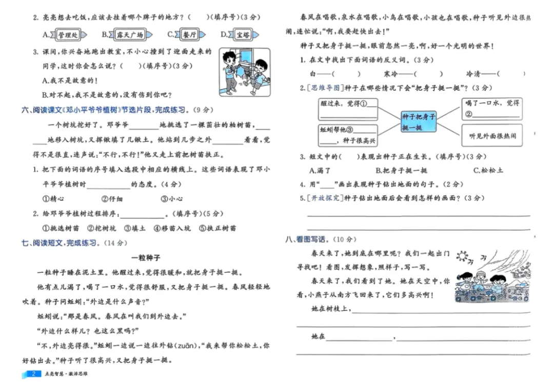 26春《亮点激活提优大试卷》语文1-6年级下册 一二三四五六年级 PDF电子版|(可下载) 第4张