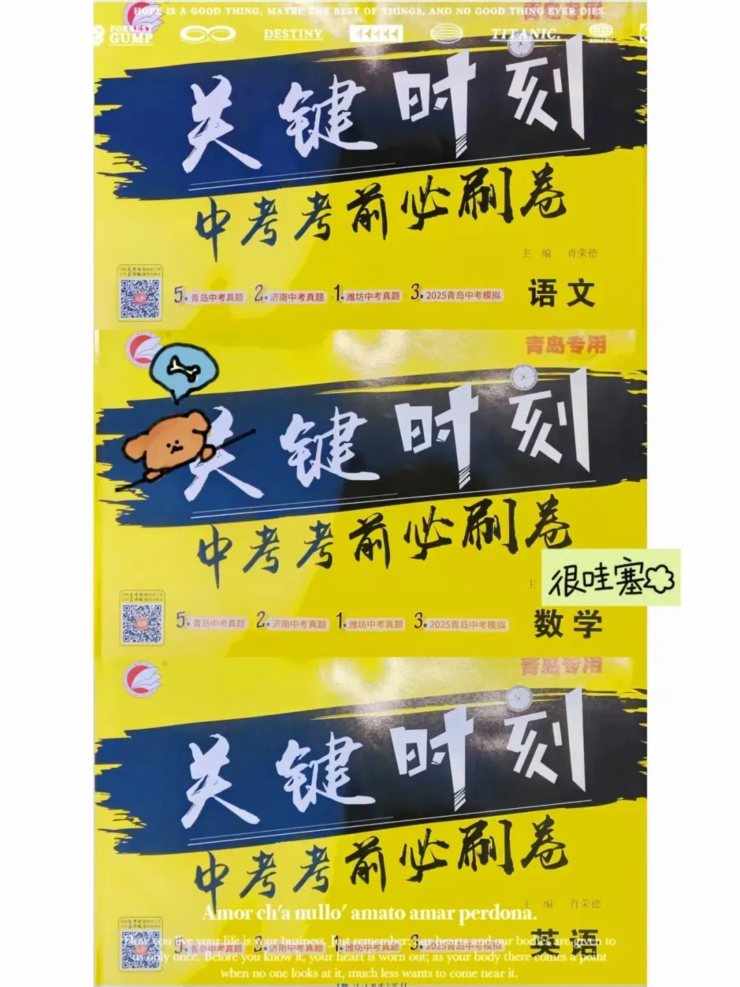 三源书吧【中考教辅书推荐】:中考冲刺,《关键时刻》为学子们提供破题锦囊! 第29张