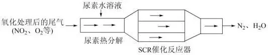 2026.4东北育才高一化学月考试卷+答案 第21张