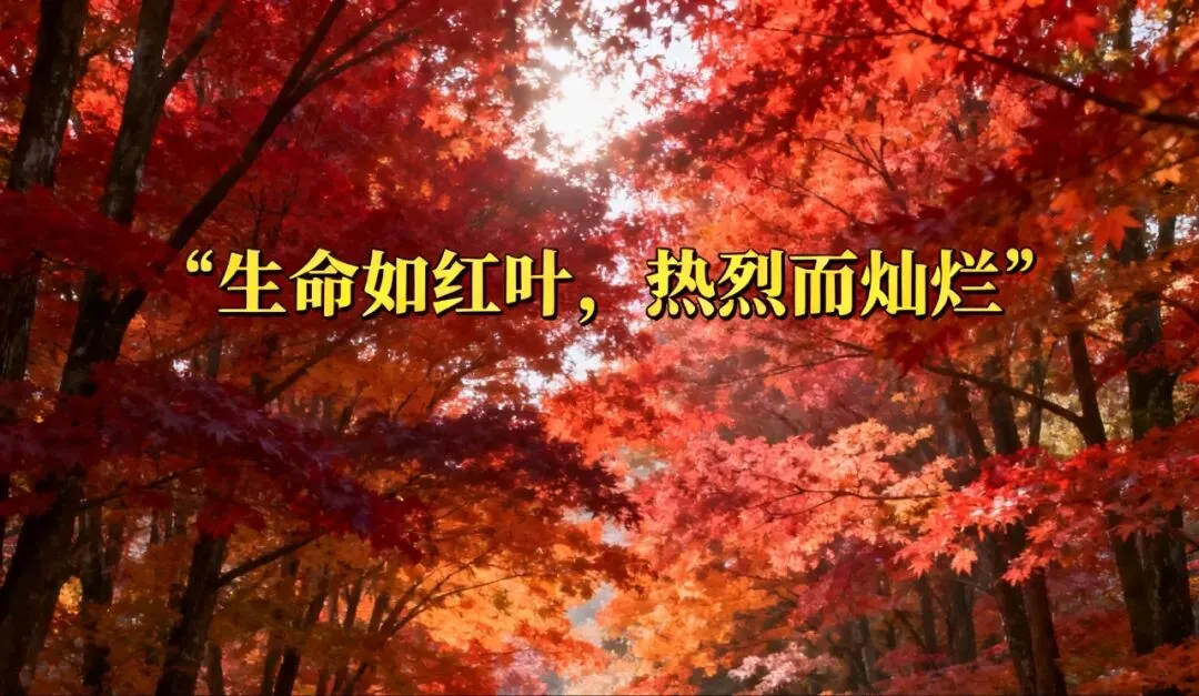 江西八校26届高三4月联考试数学试卷-第1张图片-四季读书网