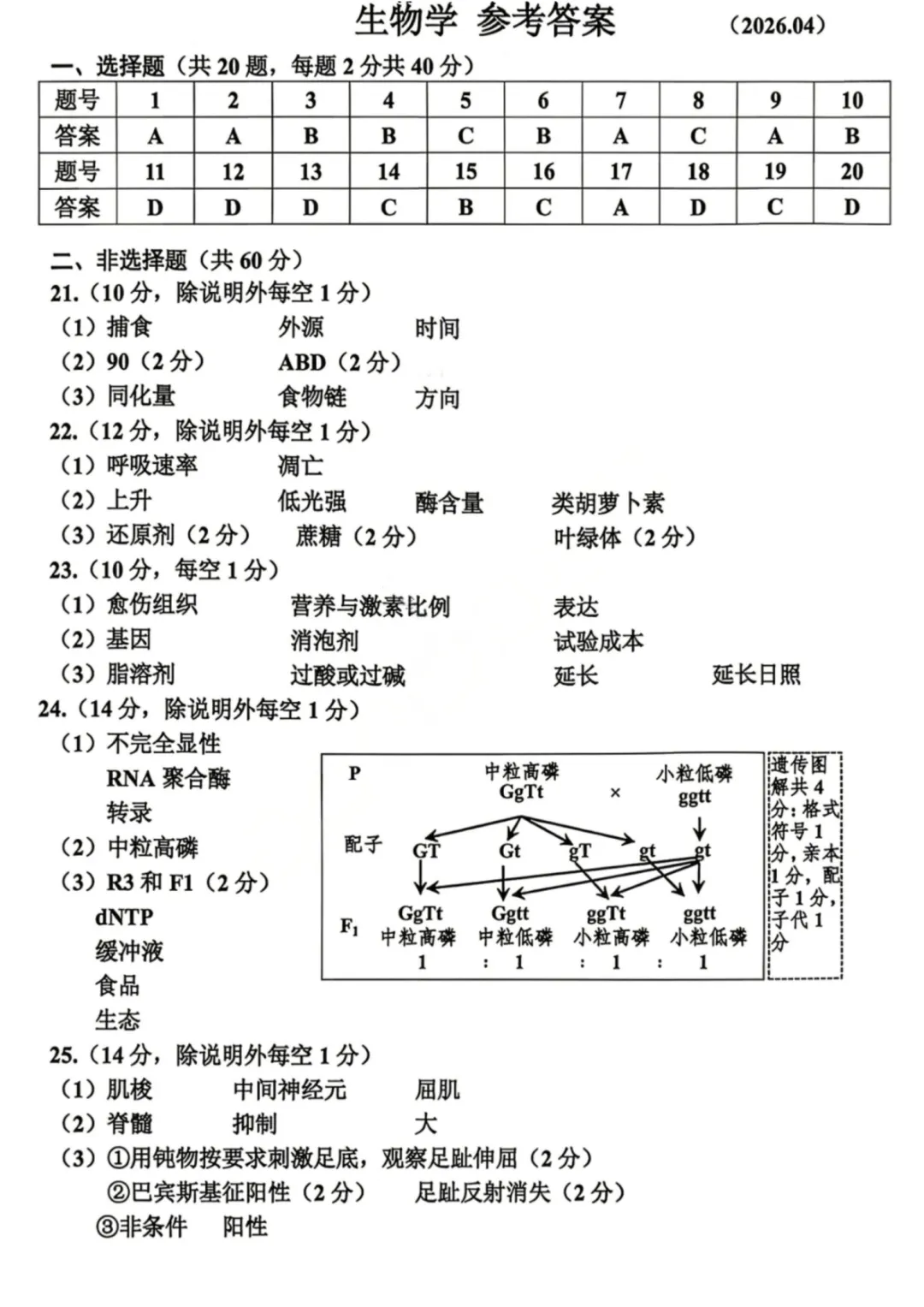 高三二模|2026年4月嘉兴高三二模试卷+答案全(内含下载链接) 第9张
