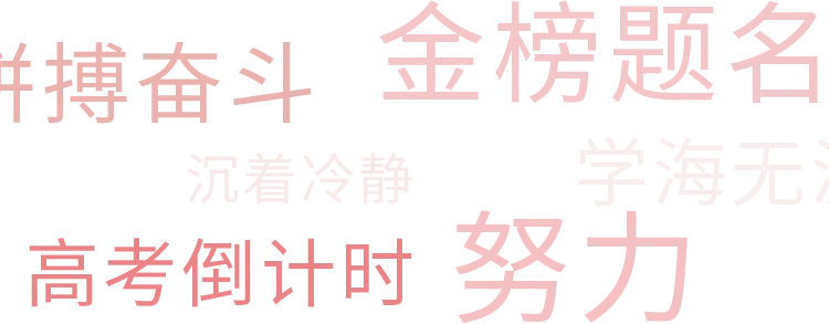 逐梦中考 笃行致远——邵阳广益初中部举行九年级高效学习方法指导暨冲刺动员大会 第3张