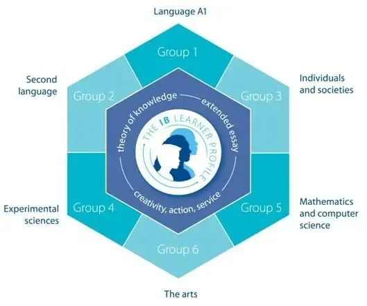 中考后想转国际学校,课程选不对白费功夫!IB/AP/A-Level选择指南 第5张 中考后想转国际学校,课程选不对白费功夫!IB/AP/A-Level选择指南 第5张