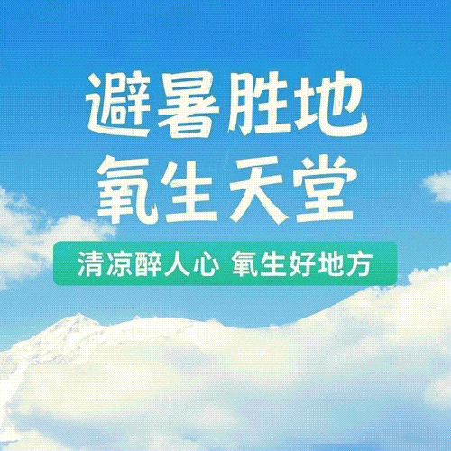 2026年体育中考顺利开考 2026名学子逐梦考场-第6张图片-四季读书网 2026年体育中考顺利开考 2026名学子逐梦考场-第6张图片-四季读书网