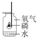 【中考化学】2026年中考化学第一期:氧气的必考知识点-第10张图片-四季读书网 【中考化学】2026年中考化学第一期:氧气的必考知识点-第10张图片-四季读书网