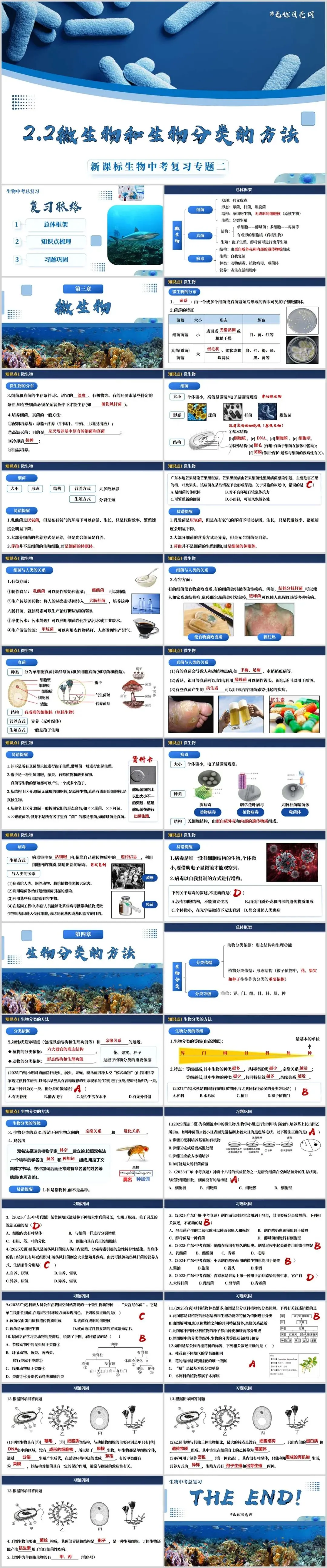 新人教生物中考一轮复习专题二专题二2.2微生物和生物分类的方法@青禾 第2张