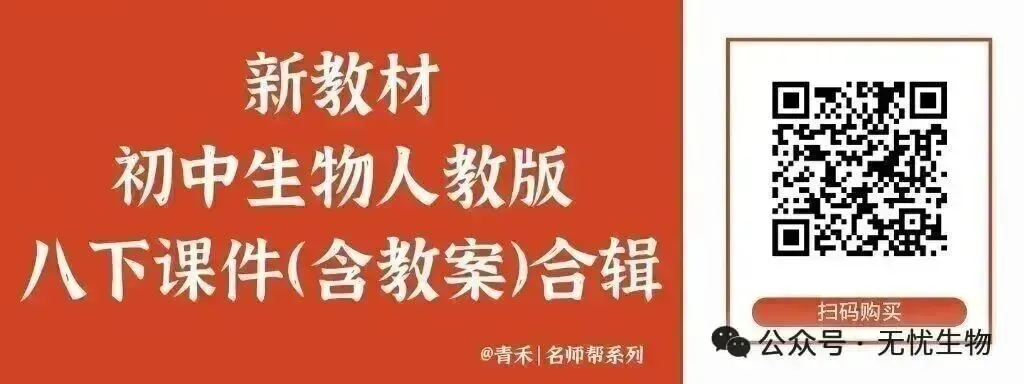 新人教生物中考一轮复习专题二专题二2.2微生物和生物分类的方法@青禾 第6张