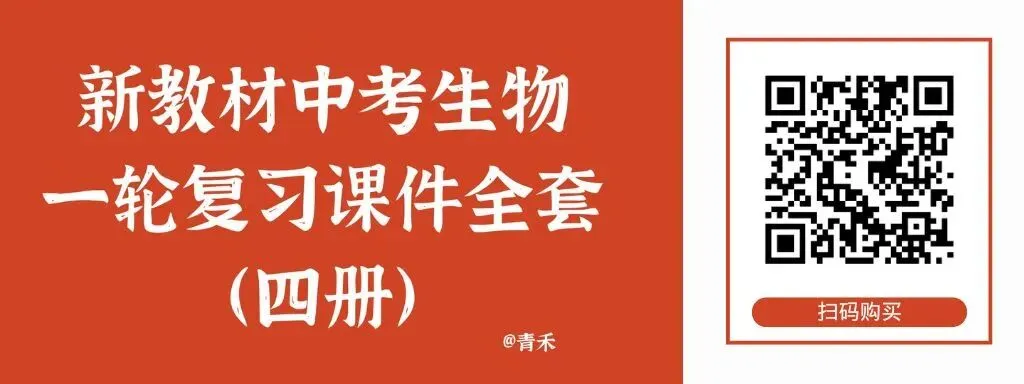 新人教生物中考一轮复习专题二专题二2.2微生物和生物分类的方法@青禾 第5张