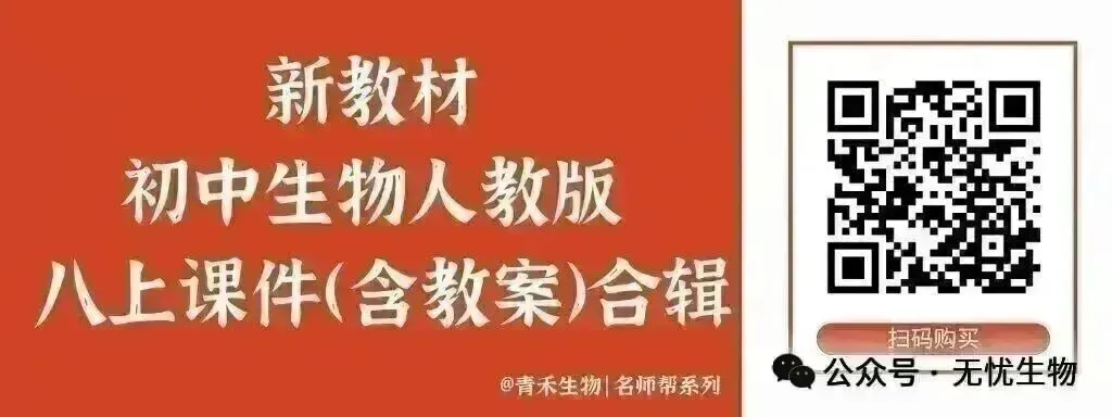 新人教生物中考一轮复习专题二专题二2.2微生物和生物分类的方法@青禾 第7张