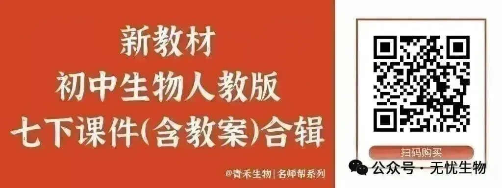 新人教生物中考一轮复习专题二专题二2.2微生物和生物分类的方法@青禾 第8张