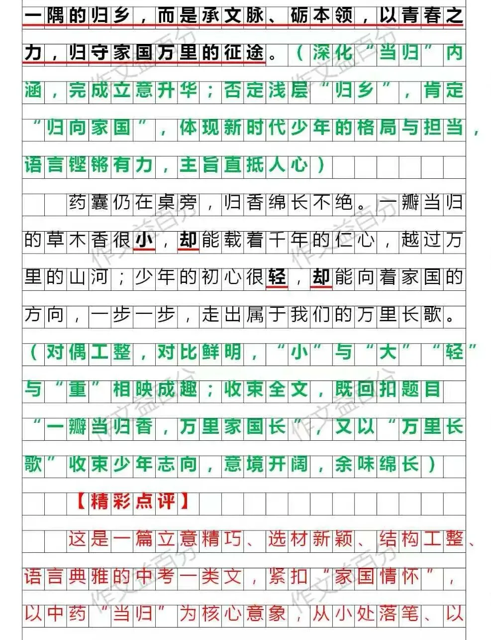 【中考作文备考2026】一瓣当归香,万里家国长(精析+点评+脉络) |传统文化+成长类 | 小众新颖的题材 作文素材 第4张