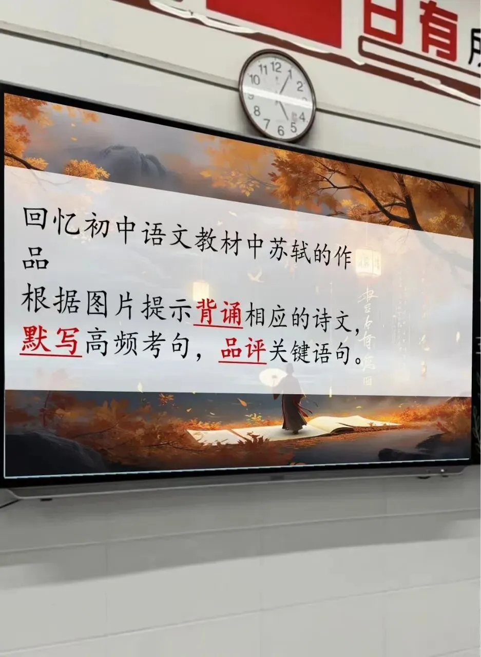中考专题复习之苏轼诗文整合复习,太赞了!-第4张图片-四季读书网