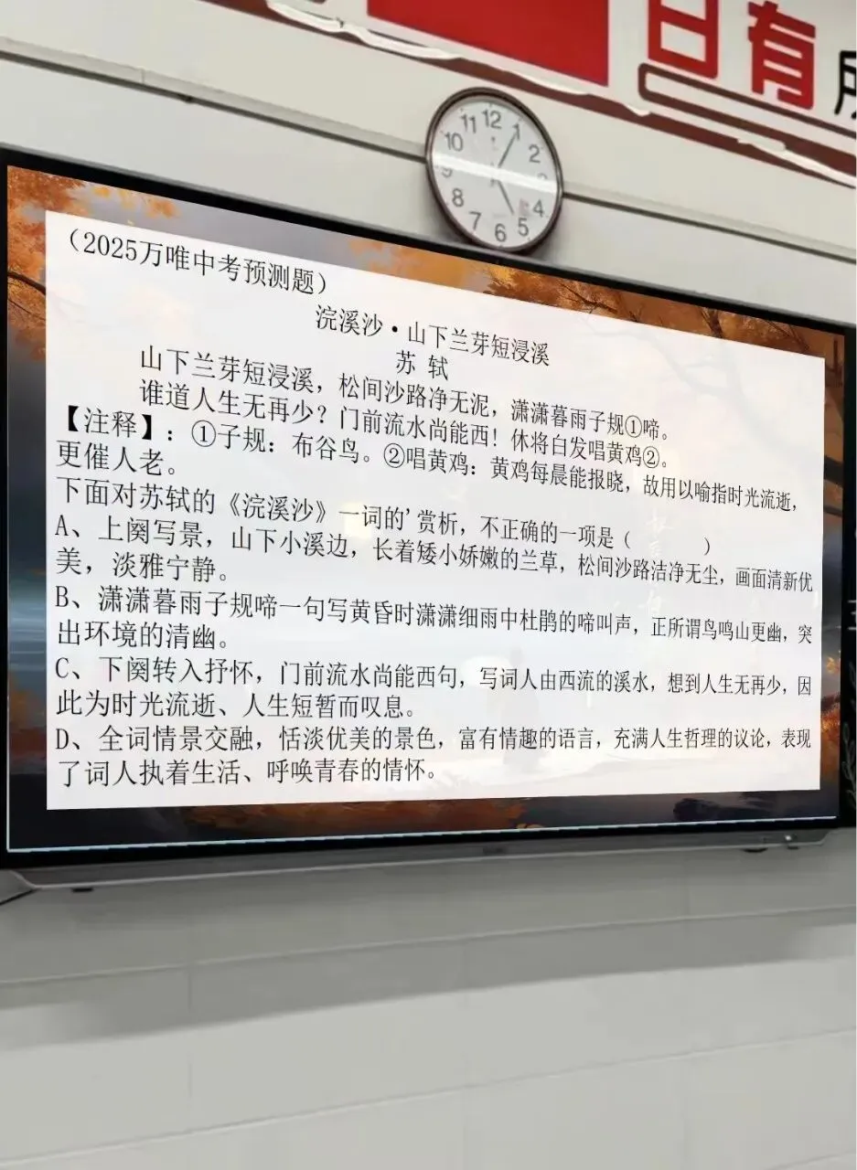 中考专题复习之苏轼诗文整合复习,太赞了!-第15张图片-四季读书网
